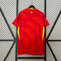 Camiseta España Local 24/25 Adultos