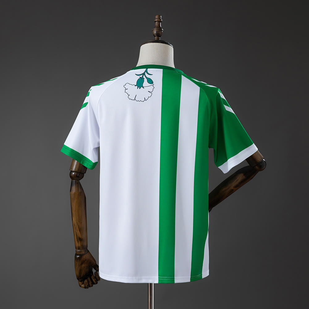 Camiseta Real Betis Pre Match 25/26 Adultos